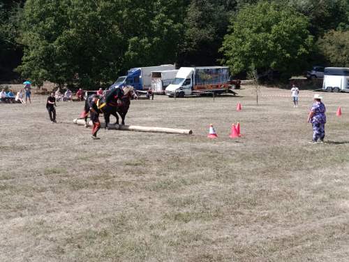 IMG_20260808_130712